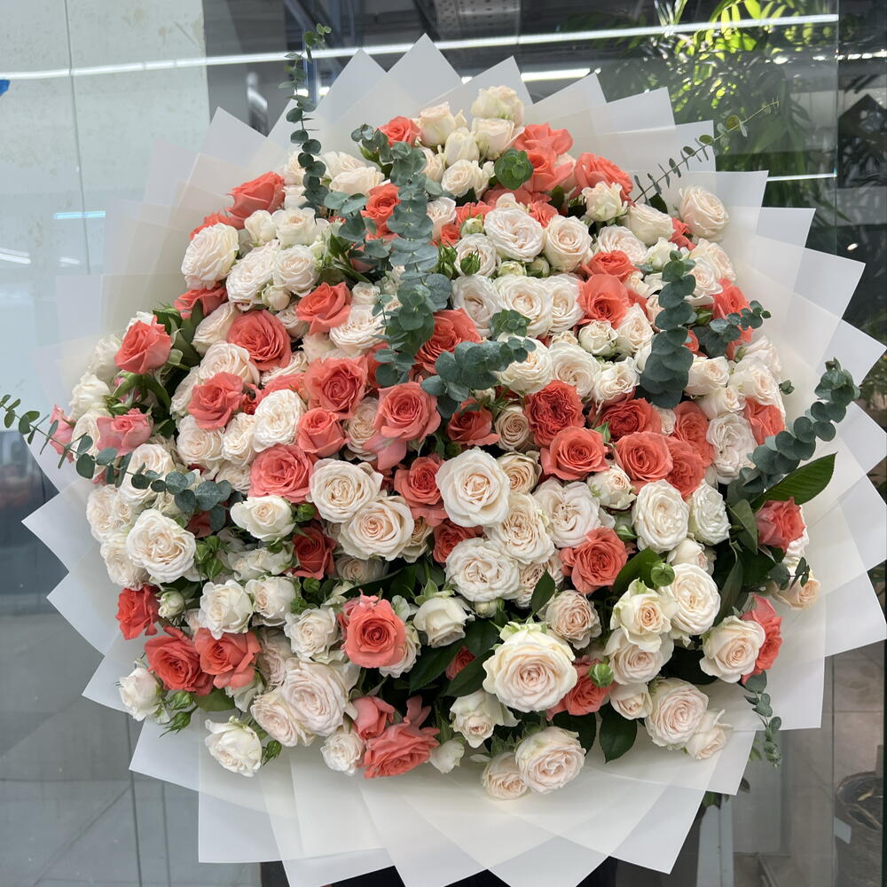 🌹101 КУСТОВЫЕ ПИОНАВИДНЫЕ РОЗЫ🌹