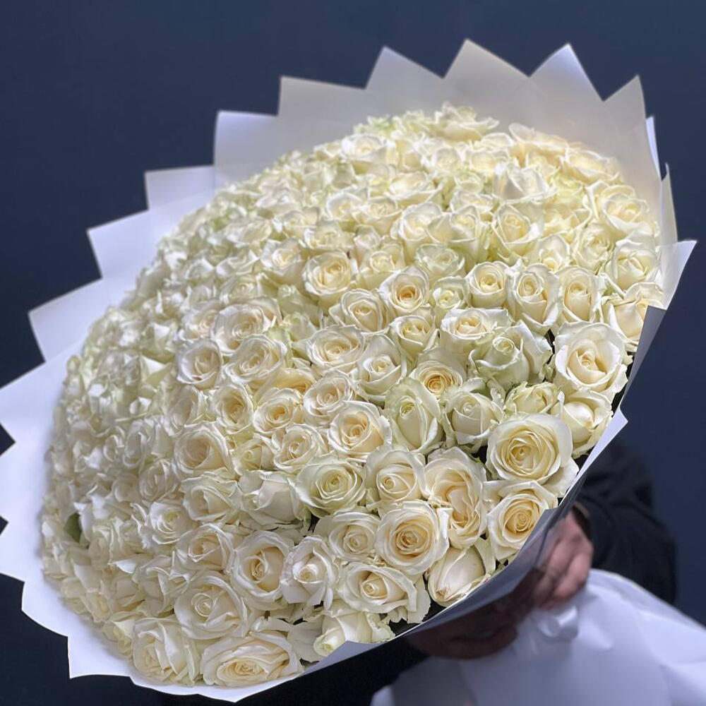 🌹201 КРУПНАЯ БЕЛАЯ РОЗА СОРТА АВАЛАНЧ🌹