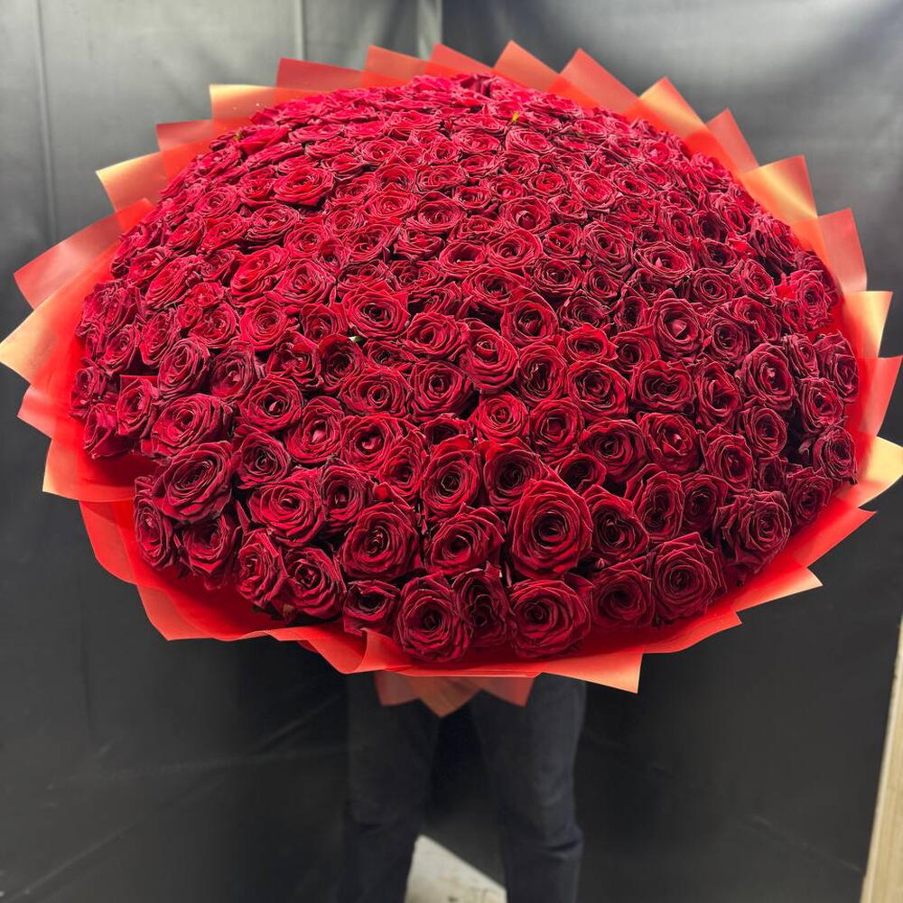 🌹БУКЕТ ИЗ 201 ЭКВАДОРСКОЙ РОЗЫ🌹