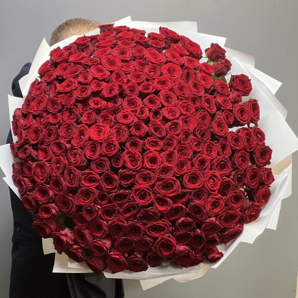 🌹ШИКАРНЫЙ БУКЕТ ИЗ 201 КРУПНОЙ КРАСНОЙ РОЗЫ СОРТА РЕД НАОМИ🌹