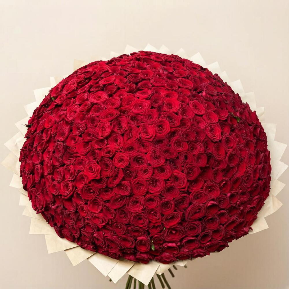 🌹301 КРУПНАЯ КРАСНАЯ РОЗА🌹